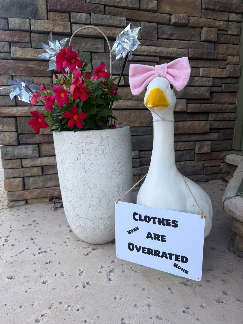 Sign only for Porch Goose. Plastic sign “clothes are overrated”